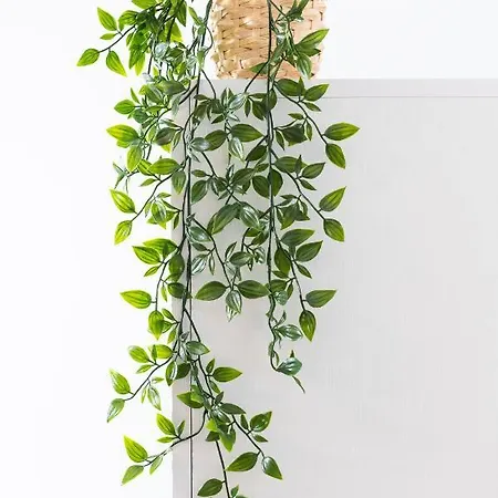 Apartamento Lithies Living